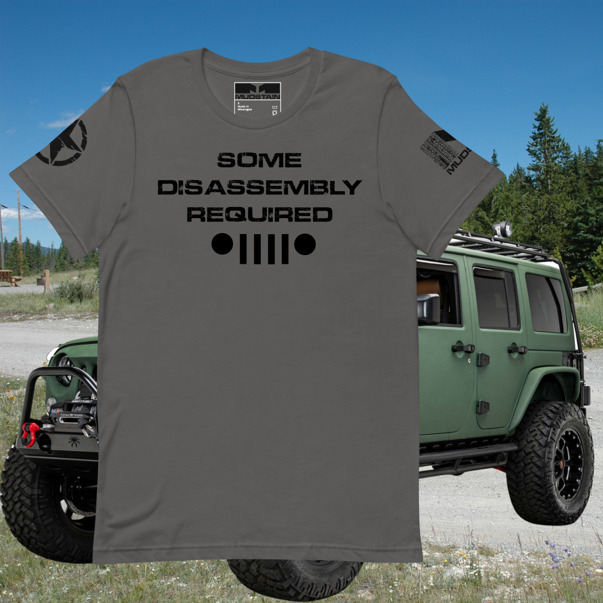 SOME DISASSEMBLY REQUIRED