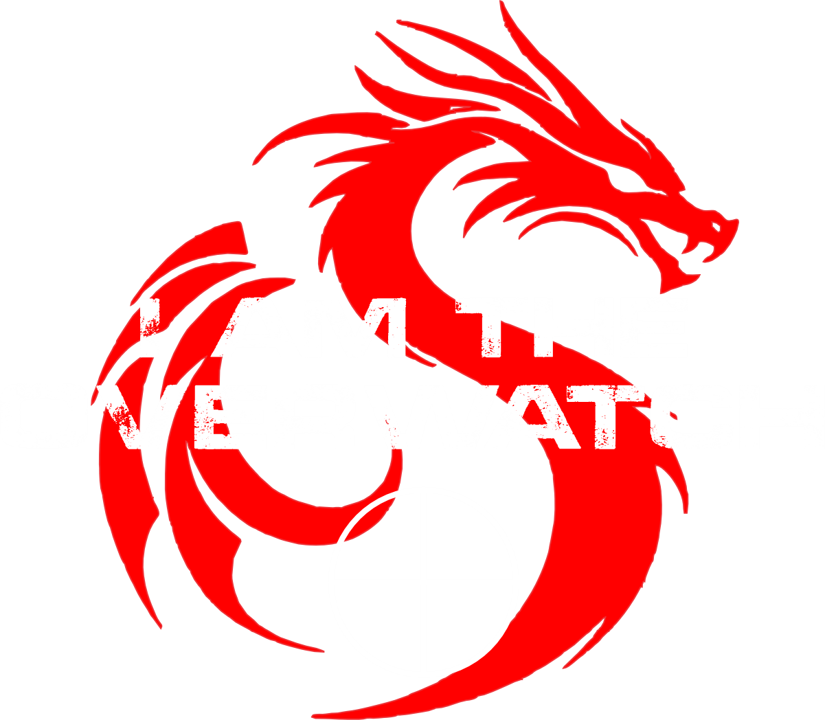 DRAGON OVERWATCH 2A SHIRT